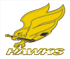 Hawks hockey logo
